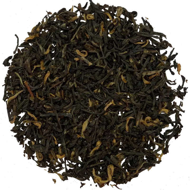 Assam Golden Tippy Mokalbari