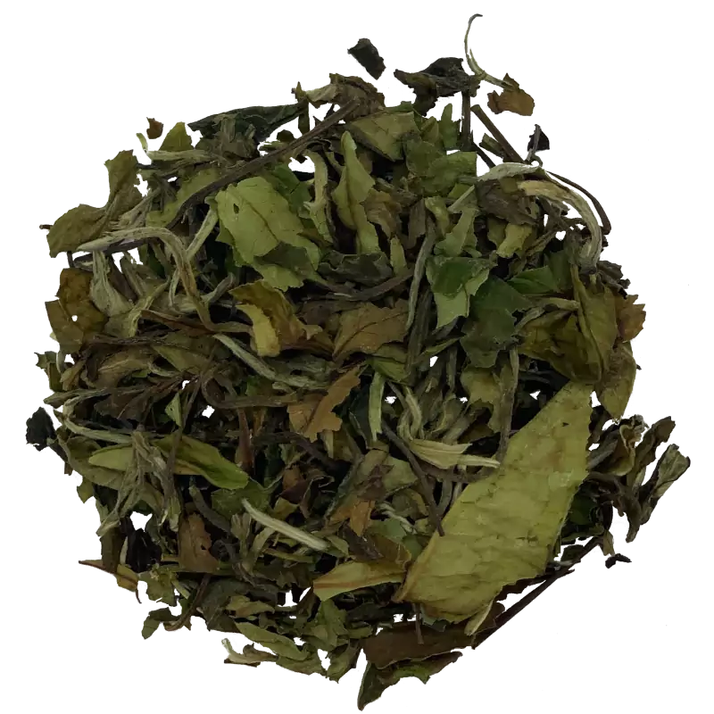 Pai Mu Tan Spezial